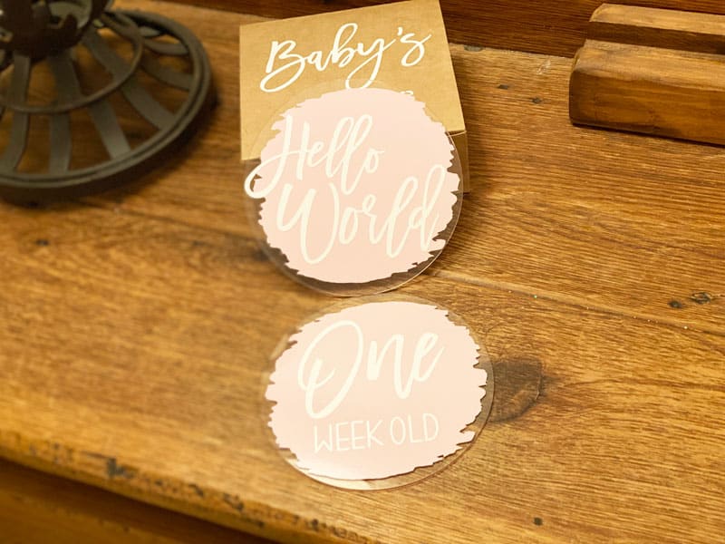 Read more about the article DIY Baby Milestone Discs